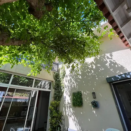 - Maison T4 à Deux Pas De La - 6 Pers - Fr-1-319-615 * Arcachon